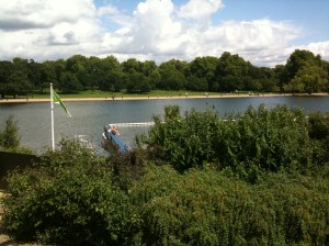 IMG_0559