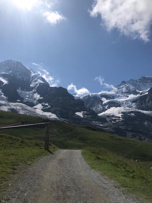 d0dbf876-04db-41f1-9c44-d9c954b561b4